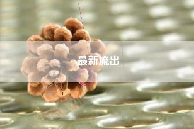 详细阅读:最新流出 最新流出