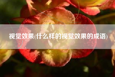视觉效果(什么样的视觉效果的成语)