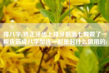 排八字(矫正牙齿上排牙前面七颗戴了一根皮筋成八字型连一起是起什么做用的)