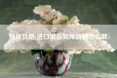 到岸价格(进口设备到岸价格怎么算)