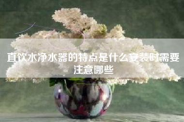 直饮水净水器的特点是什么安装时需要注意哪些