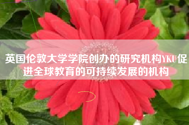 英国伦敦大学学院创办的研究机构YKU促进全球教育的可持续发展的机构