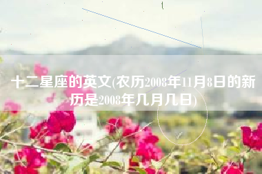 十二星座的英文(农历2008年11月8日的新历是2008年几月几日)