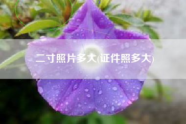 二寸照片多大(证件照多大)