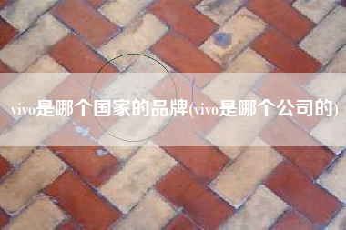 详细阅读:vivo是哪个国家的品牌(vivo是哪个公司的) vivo是哪个国家的品牌(vivo是哪个公司的)