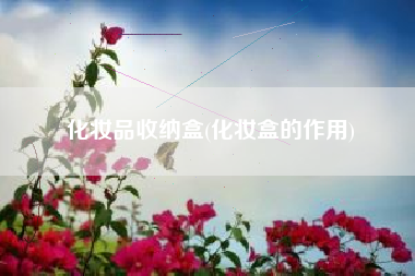化妆品收纳盒(化妆盒的作用)