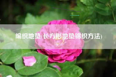 编织地垫(长方形地垫锦织方法)