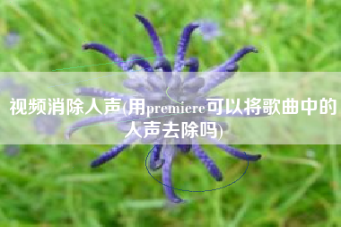 视频消除人声(用premiere可以将歌曲中的人声去除吗)