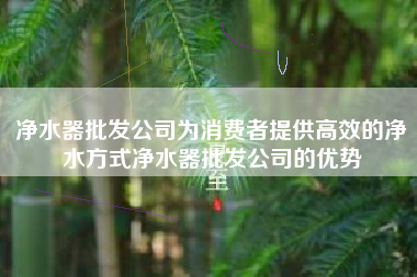 净水器批发公司为消费者提供高效的净水方式净水器批发公司的优势