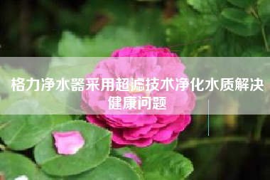 格力净水器采用超滤技术净化水质解决健康问题