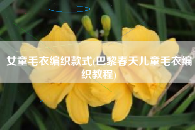 女童毛衣编织款式(巴黎春天儿童毛衣编织教程)