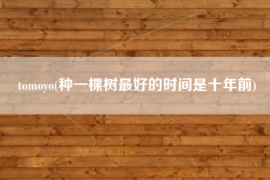 tomoyo(种一棵树最好的时间是十年前)
