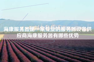 海康服务器是一家专业的服务器设备供应商海康服务器有哪些优势