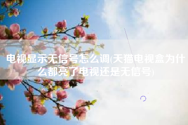 电视显示无信号怎么调(天猫电视盒为什么都亮了电视还是无信号)