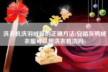 洗衣机洗羽绒服的正确方法(安踏灰鸭绒衣服可以用洗衣机洗吗)