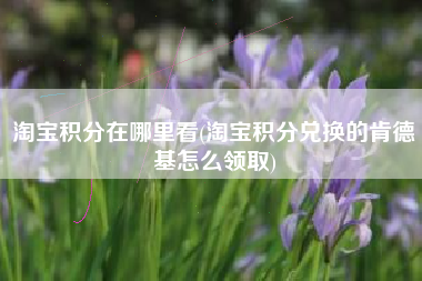 淘宝积分在哪里看(淘宝积分兑换的肯德基怎么领取)