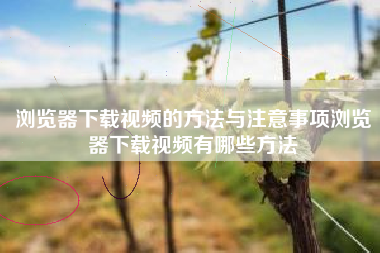 浏览器下载视频的方法与注意事项浏览器下载视频有哪些方法