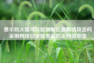 费尔防火墙可以检测和拦截网络攻击吗采用网络安全技术来防止网络攻击