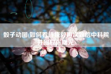 骰子动图(如何看待饶毅再次致信中科院并回应张曙光)