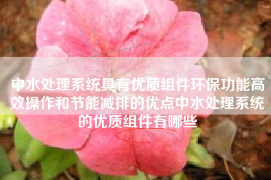 中水处理系统具有优质组件环保功能高效操作和节能减排的优点中水处理系统的优质组件有哪些
