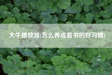 大牛播放器(怎么养成看书的好习惯)