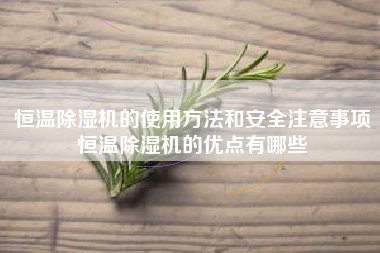 恒温除湿机的使用方法和安全注意事项恒温除湿机的优点有哪些