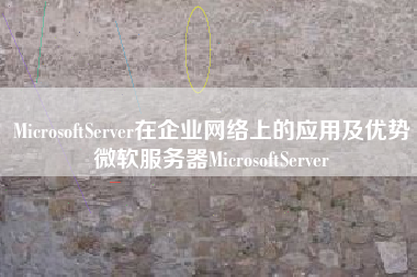 MicrosoftServer在企业网络上的应用及优势微软服务器MicrosoftServer