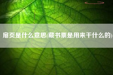 扉页是什么意思(藏书票是用来干什么的)
