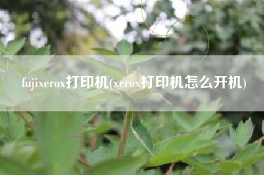 fujixerox打印机(xerox打印机怎么开机)