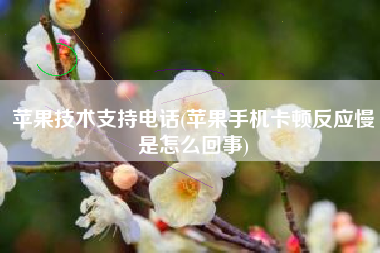 苹果技术支持电话(苹果手机卡顿反应慢是怎么回事)
