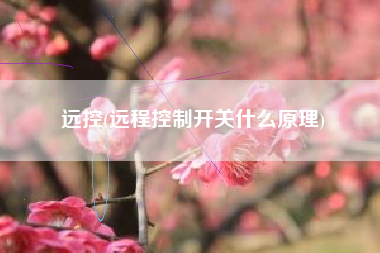 详细阅读:远控(远程控制开关什么原理) 远控(远程控制开关什么原理)
