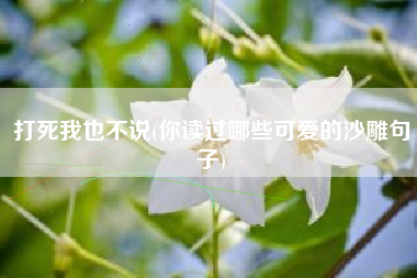 打死我也不说(你读过哪些可爱的沙雕句子)