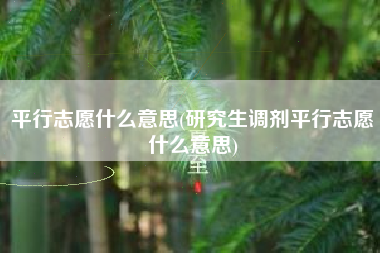 平行志愿什么意思(研究生调剂平行志愿什么意思)