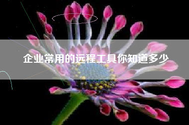 企业常用的远程工具你知道多少