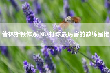 普林斯顿体系(NBA打球最厉害的教练是谁)