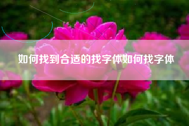 如何找到合适的找字体如何找字体