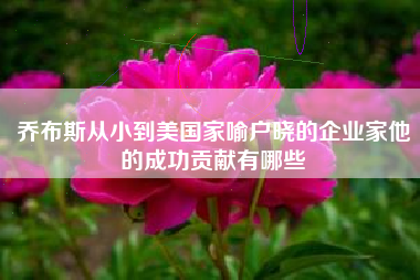 乔布斯从小到美国家喻户晓的企业家他的成功贡献有哪些