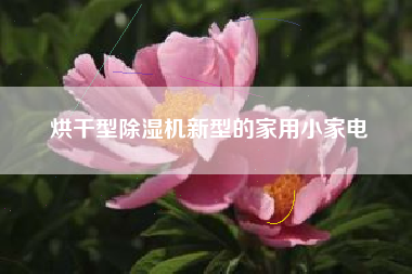 烘干型除湿机新型的家用小家电