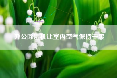办公除湿机让室内空气保持干爽
