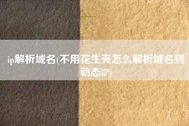 ip解析域名(不用花生壳怎么解析域名到动态IP)