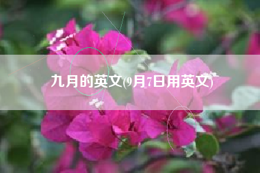 九月的英文(9月7日用英文)