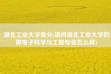 湖北工业大学查分(请问湖北工业大学的微电子科学与工程专业怎么样)
