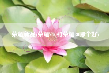 荣耀新品(荣耀x10和荣耀30哪个好)