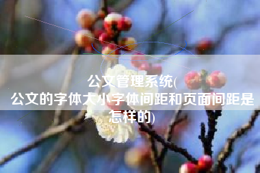公文管理系统(
公文的字体大小字体间距和页面间距是怎样的) 公文管理系统(
公文的字体大小字体间距和页面间距是怎样的)