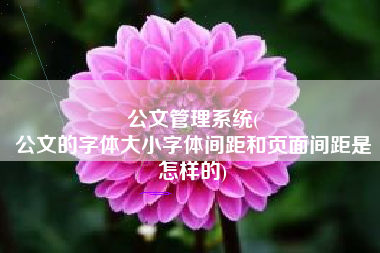 公文管理系统(
公文的字体大小字体间距和页面间距是怎样的) 公文管理系统(
公文的字体大小字体间距和页面间距是怎样的)