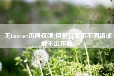 详细阅读:无internet访问权限(但是它显示不网络加载不出东西) 无internet访问权限(但是它显示不网络加载不出东西)