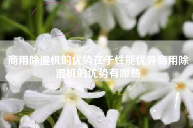 商用除湿机的优势在于性能优异商用除湿机的优势有哪些