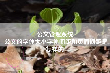 公文管理系统(
公文的字体大小字体间距和页面间距是怎样的) 公文管理系统(
公文的字体大小字体间距和页面间距是怎样的)