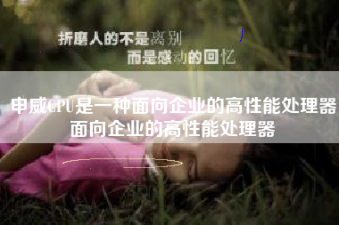 申威CPU是一种面向企业的高性能处理器面向企业的高性能处理器