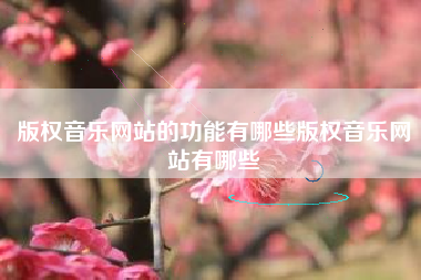 版权音乐网站的功能有哪些版权音乐网站有哪些